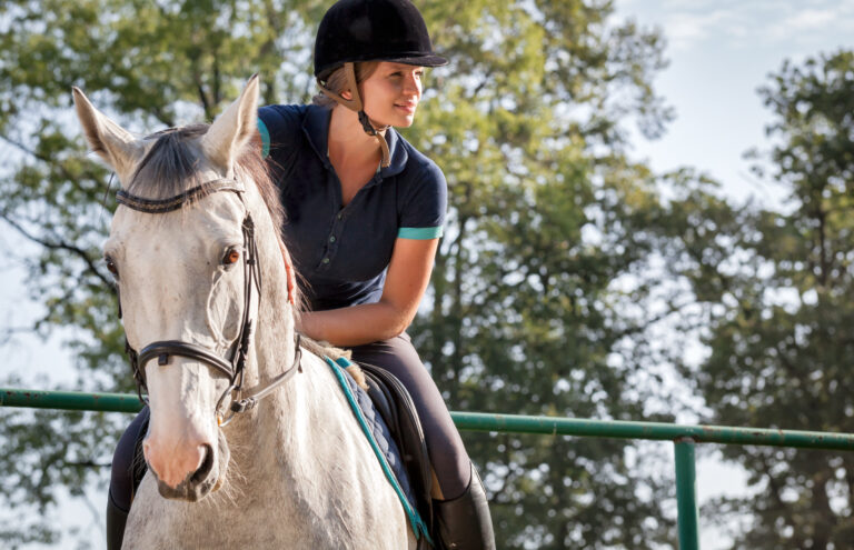 Equine Veterinarian in Oxford, PA | Unionville Equine Associates